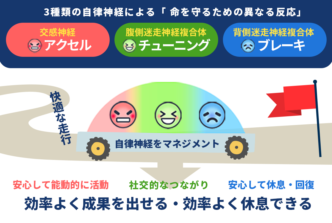 3種類の自律神経による「 命を守るための異なる反応」